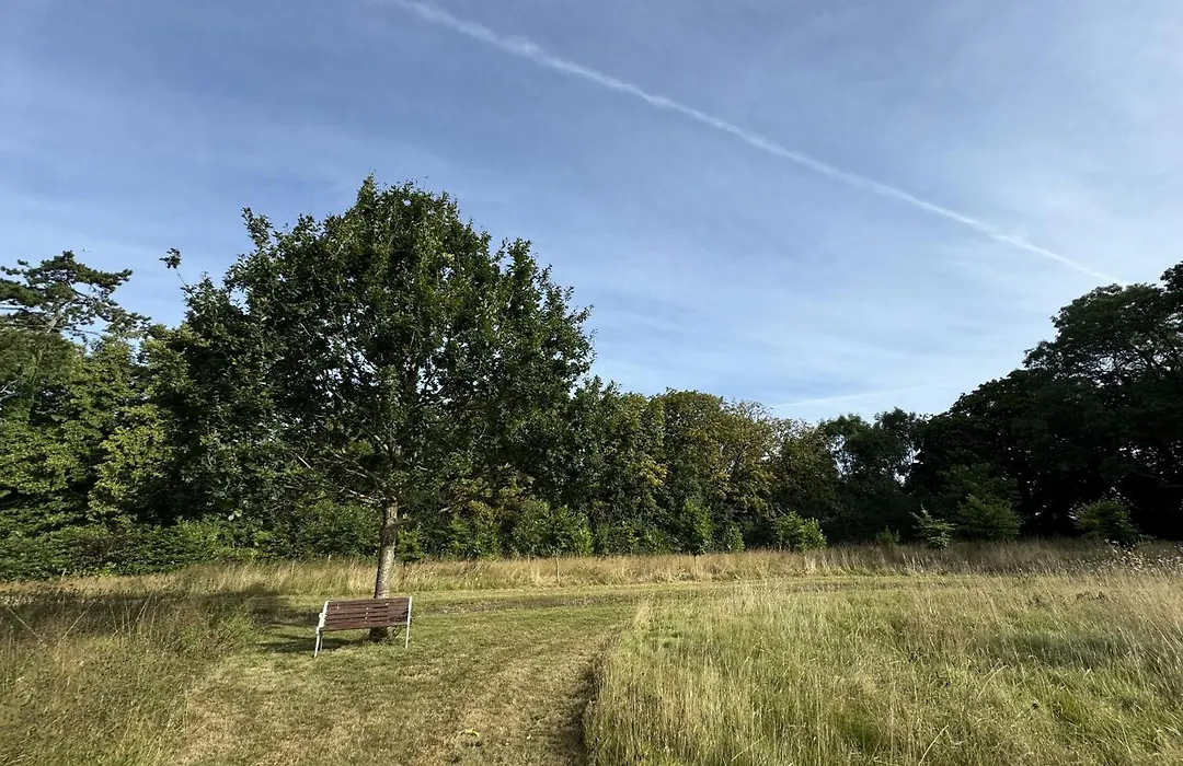 Hookwood Lodge-1